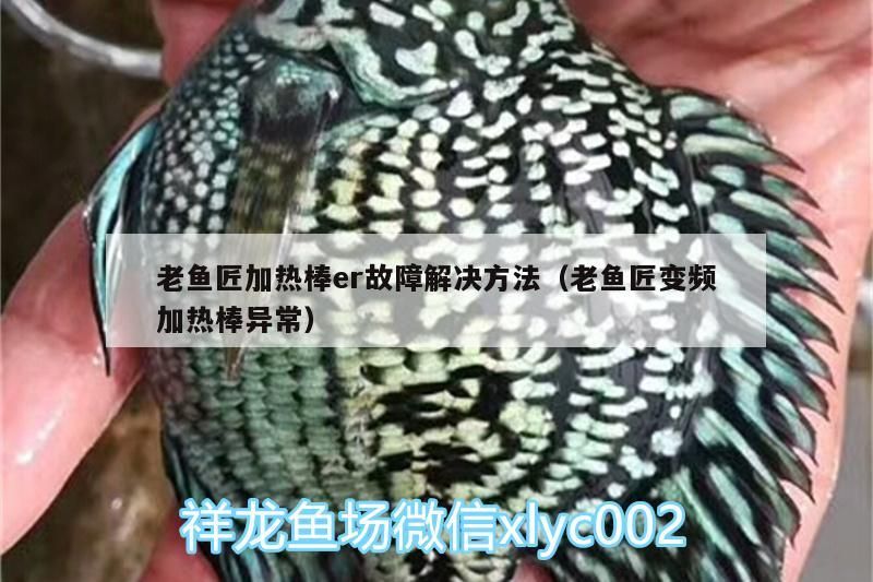 老魚匠加熱棒er故障解決方法（老魚匠變頻加熱棒異常）