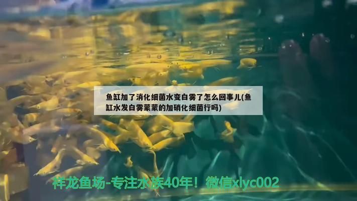 吉印排插無法連接（吉印排插連不上） 吉印排插無法連接（吉印排插連不上） 吉印水族