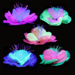 水族館一般賣(mài)什么東西好（水族館銷(xiāo)售商品）