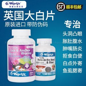 回來一個半月 回來一個半月 龍魚論壇 第2張