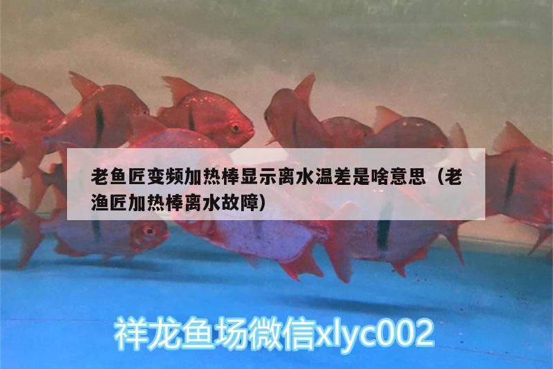 老魚匠變頻加熱棒顯示離水溫差是啥意思（老漁匠加熱棒離水故障） 老魚匠變頻加熱棒顯示離水溫差是啥意思（老漁匠加熱棒離水故障） 老魚匠