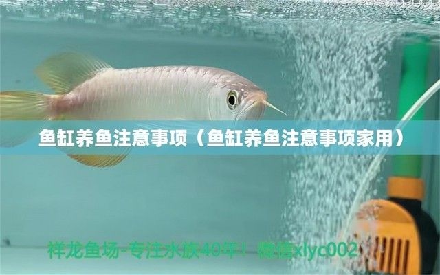 葫蘆島定制魚缸電話地址在哪（葫蘆島定制魚缸電話地址在哪里）