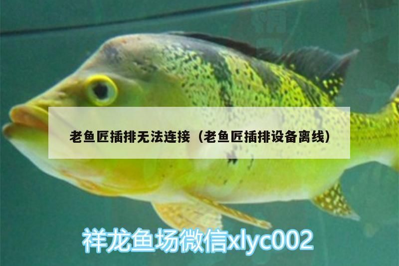 老魚匠插排無法連接（老魚匠插排設備離線）