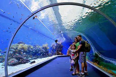 水族館的名稱：北京海洋館水族館名稱介紹 水族館的名稱：北京海洋館水族館名稱介紹 水族館百科（水族館加盟） 第5張