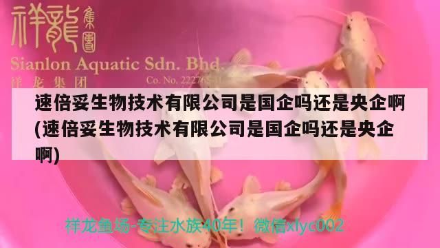 速倍妥生物技術有限公司是國企嗎還是央企啊(速倍妥生物技術有限公司是國企嗎還是央企啊)