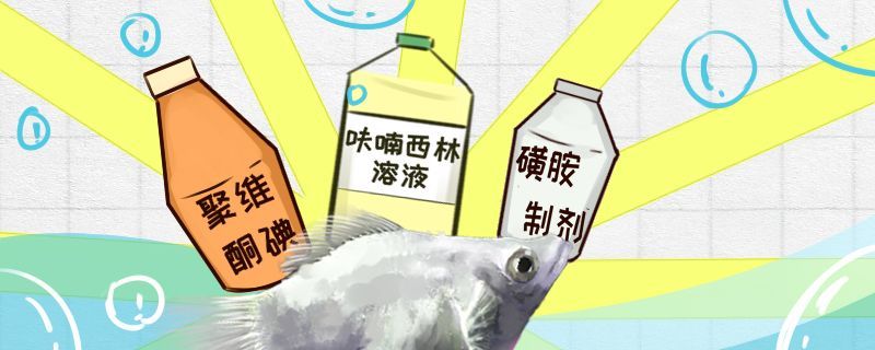 魚缸過濾器選購指南:自制魚缸過濾器魚缸上置過濾器對于養魚愛好者的必備知識 瑪麗魚得了白點病怎么治常見病治療方法 速倍妥魚糧魚藥 瑪麗魚得了白點病怎么治常見病治療方法 瑪麗魚得了白點病怎么治常見病治療方法 速倍妥魚糧魚藥