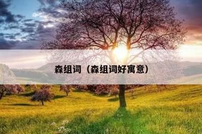 森森的組詞是什么 森森的組詞是什么 森森魚缸