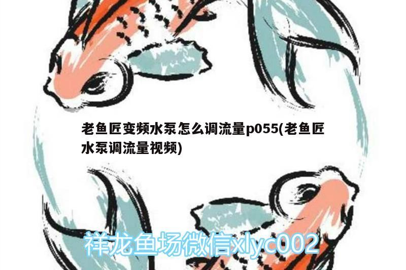 老魚匠變頻水泵怎么調(diào)流量p055(老魚匠水泵調(diào)流量視頻) 老魚匠變頻水泵怎么調(diào)流量p055(老魚匠水泵調(diào)流量視頻) 老魚匠