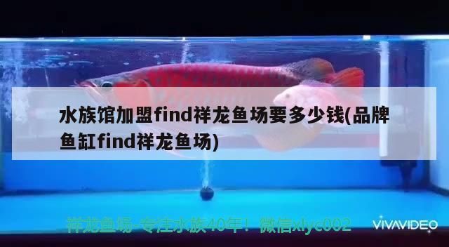 水族館加盟find祥龍魚場要多少錢(品牌魚缸find祥龍魚場) 水族館加盟find祥龍魚場要多少錢(品牌魚缸find祥龍魚場) vs祥龍魚場