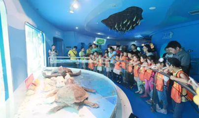 水族館的名字大全（全球各地的水族館及其名稱）