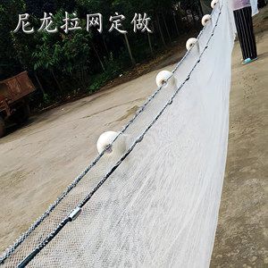 虎魚(yú)苗能吃活的泥鰍嗎：虎魚(yú)苗可以吃活的泥鰍嗎