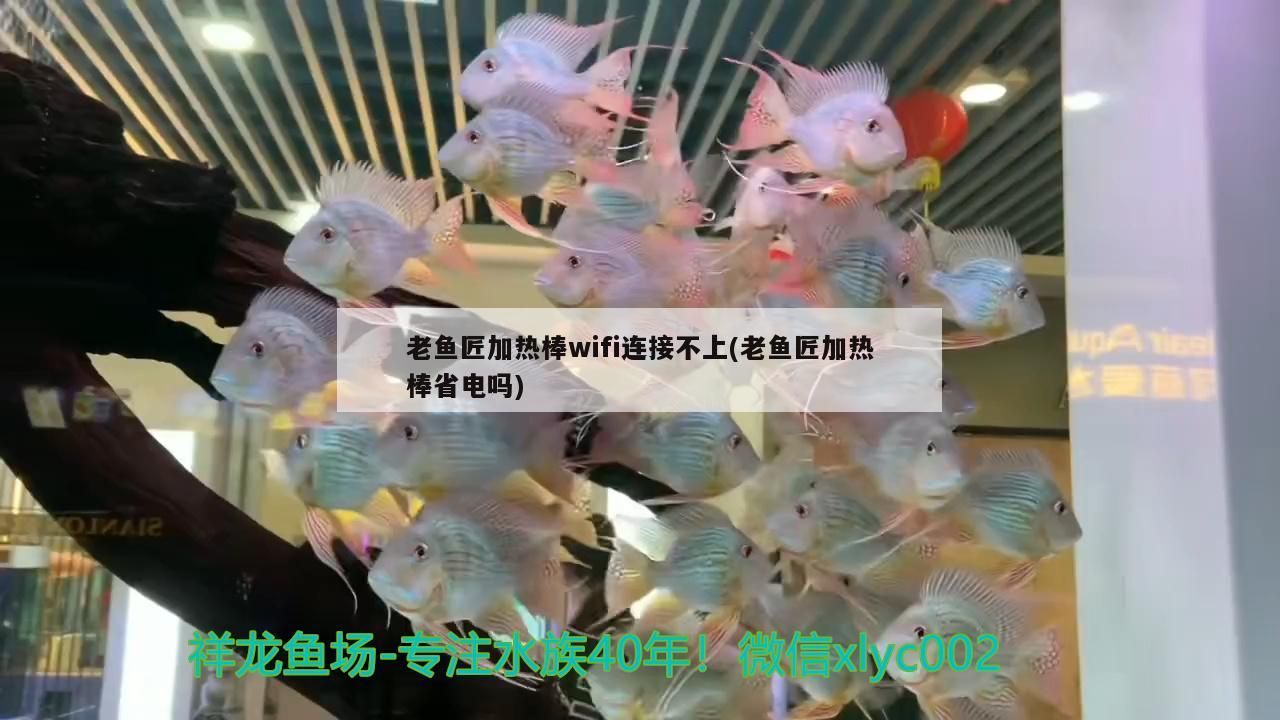 老魚匠加熱棒wifi連接不上(老魚匠加熱棒省電嗎) 老魚匠加熱棒wifi連接不上(老魚匠加熱棒省電嗎) 老魚匠