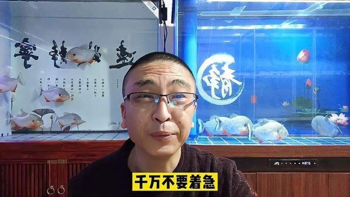 魚缸水白濁加硝化細菌有用嗎視頻，如何判斷硝化細菌效果魚缸水質改善的其他方法 魚缸水白濁加硝化細菌有用嗎視頻，如何判斷硝化細菌效果魚缸水質改善的其他方法 魚缸百科 第4張
