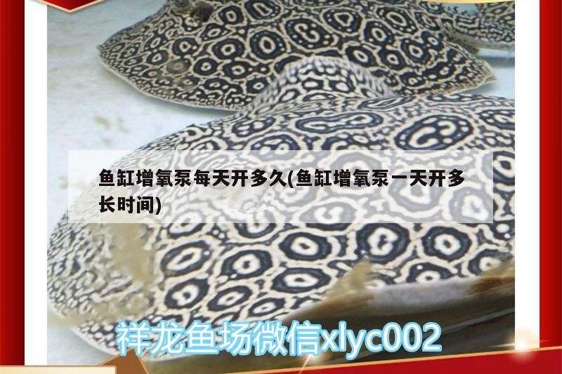 魚缸增氧泵每天開多久(魚缸增氧泵一天開多長時間)