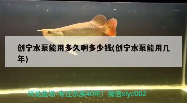 創寧水泵能用多久啊多少錢(創寧水泵能用幾年) 創寧水泵能用多久啊多少錢(創寧水泵能用幾年) 創寧水族
