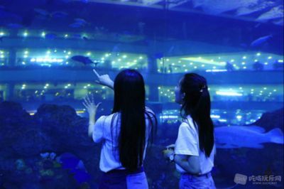 水族館行業(yè)市場(chǎng)競(jìng)爭(zhēng)現(xiàn)狀（中國(guó)水族館行業(yè)市場(chǎng)競(jìng)爭(zhēng)現(xiàn)狀分析水族館行業(yè)未來(lái)增長(zhǎng)點(diǎn)探究）