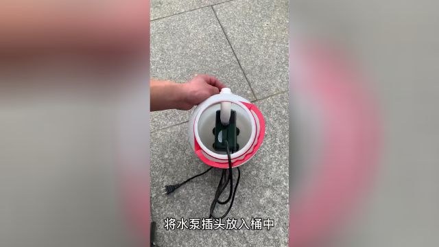 赤血紅龍魚圖片欣賞大全（赤血紅龍魚圖片欣賞大全大圖）