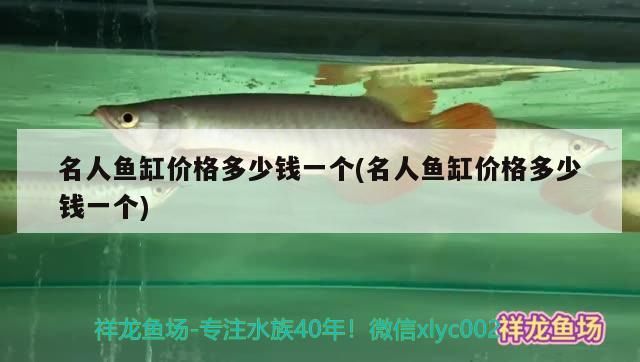 名人魚缸價格多少錢一個(名人魚缸價格多少錢一個)