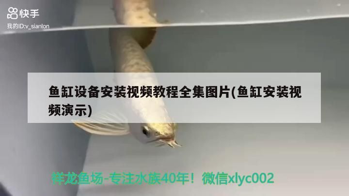 魚缸用增氧泵價(jià)格是多少:魚缸增氧機(jī)-xtrac增氧機(jī)-xtrac增氧機(jī) 魚缸設(shè)備安裝視頻教程全集圖片(魚缸安裝視頻演示) 金龍魚百科 魚缸設(shè)備安裝視頻教程全集圖片(魚缸安裝視頻演示) 魚缸設(shè)備安裝視頻教程全集圖片(魚缸安裝視頻演示) 金龍魚百科