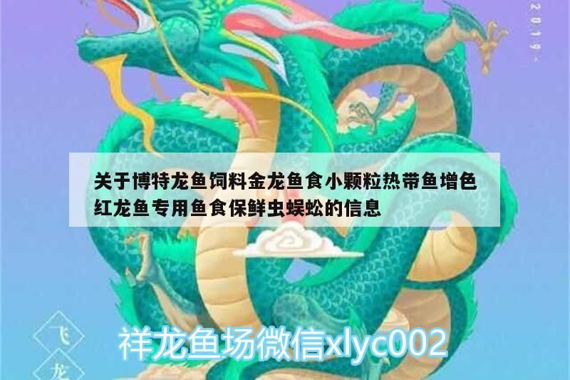 關于博特龍魚飼料金龍魚食小顆粒熱帶魚增色紅龍魚專用魚食保鮮蟲蜈蚣的信息 關于博特龍魚飼料金龍魚食小顆粒熱帶魚增色紅龍魚專用魚食保鮮蟲蜈蚣的信息 博特水族