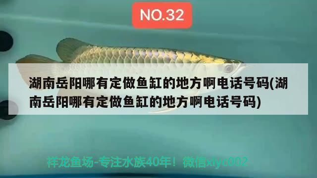 魚缸用增氧泵價格是多少:魚缸增氧機-xtrac增氧機-xtrac增氧機 湖南岳陽哪有定做魚缸的地方啊電話號碼(湖南岳陽哪有定做魚缸的地方啊電話號碼) 元寶鳳凰魚百科 湖南岳陽哪有定做魚缸的地方啊電話號碼(湖南岳陽哪有定做魚缸的地方啊電話號碼) 湖南岳陽哪有定做魚缸的地方啊電話號碼(湖南岳陽哪有定做魚缸的地方啊電話號碼) 元寶鳳凰魚百科