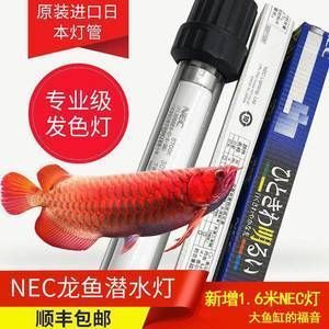 nec發色燈好還是馬印燈好用呢：nec發色燈好還是馬印神燈好用