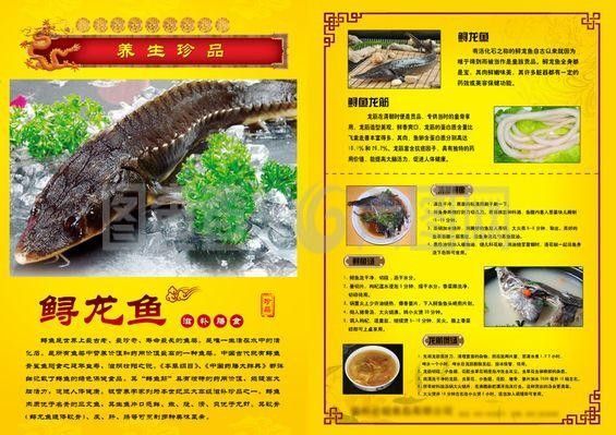 龍魚的功效和作用及禁忌