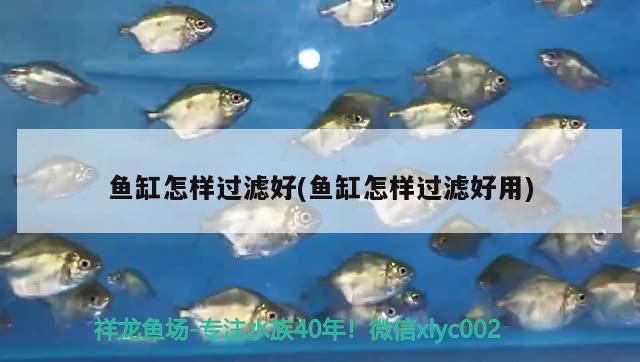 簽到180天申請徽章