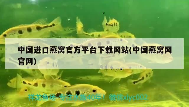 洛陽水族批發(fā)市場在哪里呀幾點開門啊（洛陽水產(chǎn)市場在哪里）