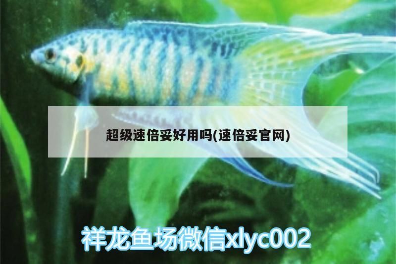 超級速倍妥好用嗎(速倍妥官網)