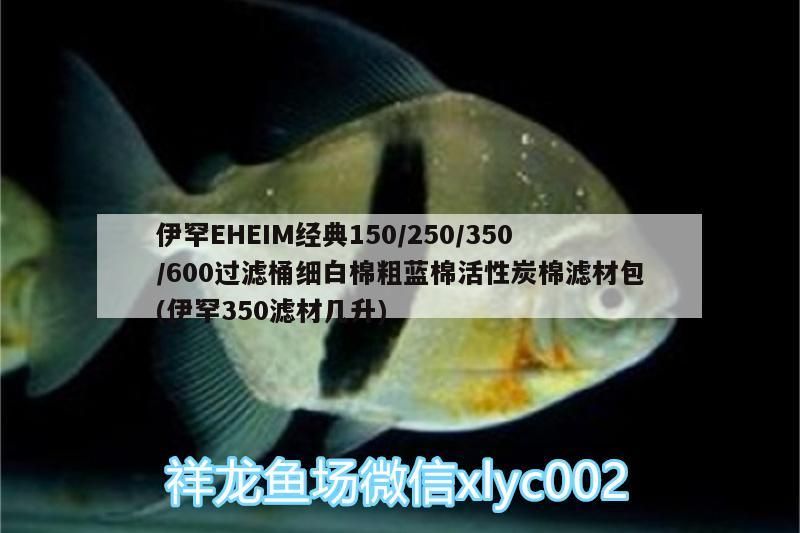 伊罕EHEIM經典150/250/350/600過濾桶細白棉粗藍棉活性炭棉濾材包(伊罕350濾材幾升)