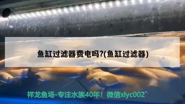 魚缸過濾器費(fèi)電嗎?(魚缸過濾器)