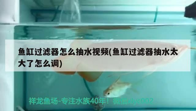 魚缸過濾器怎么抽水視頻(魚缸過濾器抽水太大了怎么調(diào))