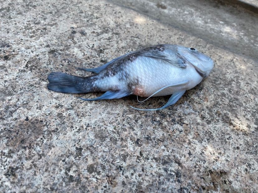 寧陽縣莉莉漁具店 寧陽縣莉莉漁具店 全國水族館企業名錄 第2張