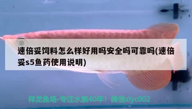 速倍妥飼料怎么樣好用嗎安全嗎可靠嗎(速倍妥s5魚藥使用說明) 速倍妥飼料怎么樣好用嗎安全嗎可靠嗎(速倍妥s5魚藥使用說明) 速倍妥 第1張