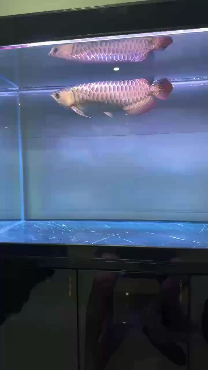 啤酒羊肉串 享受寧靜