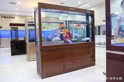 開家水族館進貨要求是什么:開家水族館的進貨要求 水族館百科(水族館加盟) 第5張 開家水族館進貨要求是什么:開家水族館的進貨要求 開家水族館進貨要求是什么:開家水族館的進貨要求 水族館百科(水族館加盟) 第5張