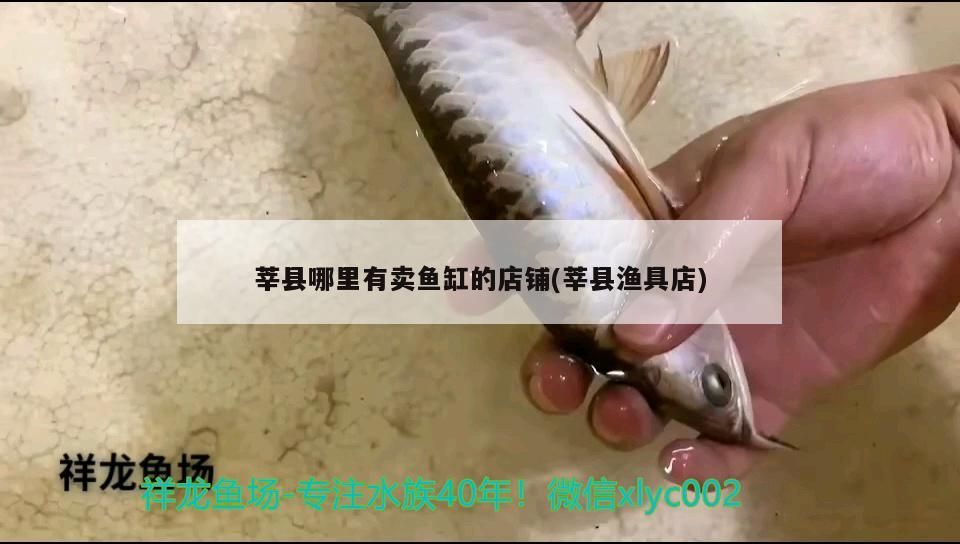 給大魚缸換水的作文:體驗給大魚缸換水的樂趣:體驗給大魚缸換水:給大魚缸換水的作文 莘縣哪里有賣魚缸的店鋪(莘縣漁具店) 元寶鳳凰魚百科 莘縣哪里有賣魚缸的店鋪(莘縣漁具店) 莘縣哪里有賣魚缸的店鋪(莘縣漁具店) 元寶鳳凰魚百科