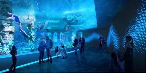 水族館行業技術創新趨勢（水族館行業發展趨勢）