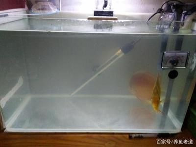博特水族水泵售后：博特水族水泵的售后情況如下 博特水族水泵售后：博特水族水泵的售后情況如下 博特水族 第2張