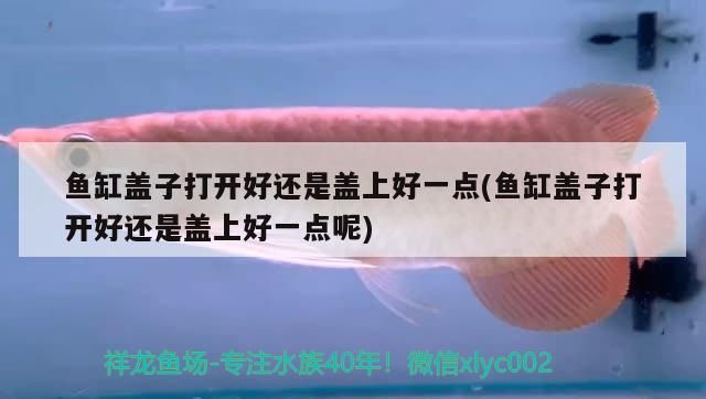 我的虎魚真菌感染了要怎么處理 魚缸蓋子打開好還是蓋上好一點(魚缸蓋子打開好還是蓋上好一點呢) 可麗愛魚缸 魚缸蓋子打開好還是蓋上好一點(魚缸蓋子打開好還是蓋上好一點呢) 魚缸蓋子打開好還是蓋上好一點(魚缸蓋子打開好還是蓋上好一點呢) 可麗愛魚缸