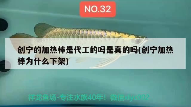 創寧的加熱棒是代工的嗎是真的嗎(創寧加熱棒為什么下架)
