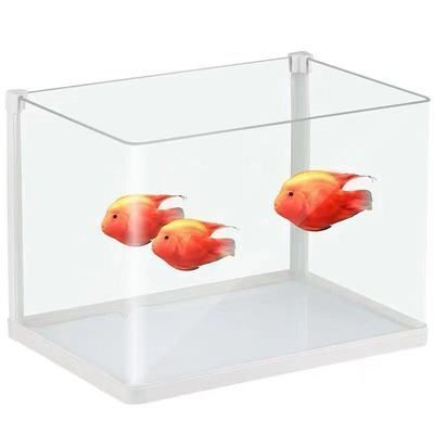 龍魚缸底部可以鋪什么植物，龍魚缸底部植物推薦