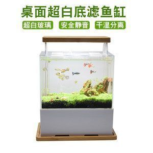 龍魚缸底部可以鋪什么植物，龍魚缸底部植物推薦