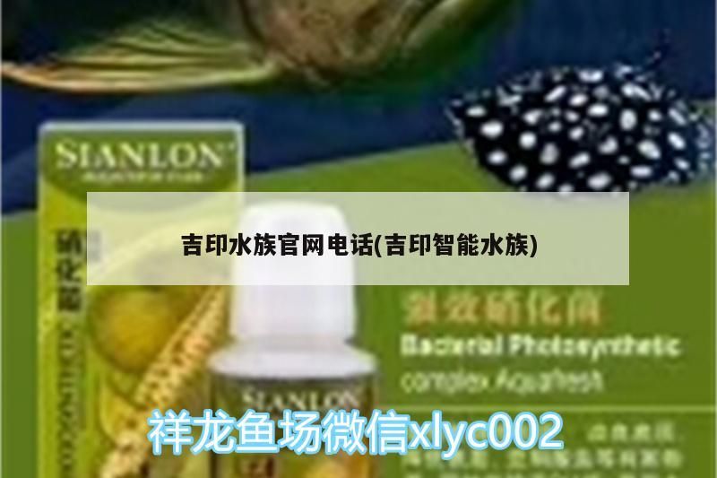 吉印水族官網(wǎng)電話(吉印智能水族)