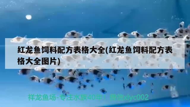 紅龍魚飼料配方表格大全(紅龍魚飼料配方表格大全圖片) 紅龍魚飼料配方表格大全(紅龍魚飼料配方表格大全圖片) 金龍魚百科