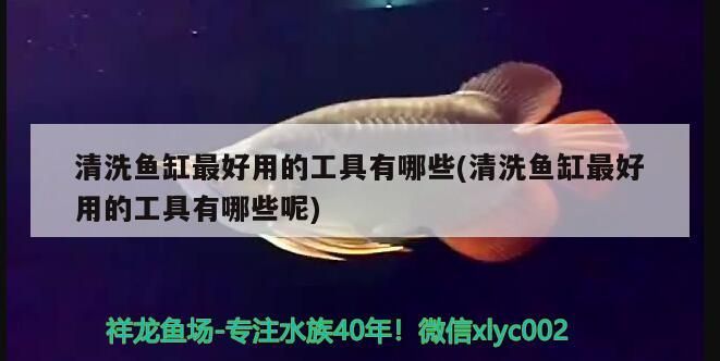 清洗魚缸最好用的工具有哪些(清洗魚缸最好用的工具有哪些呢)