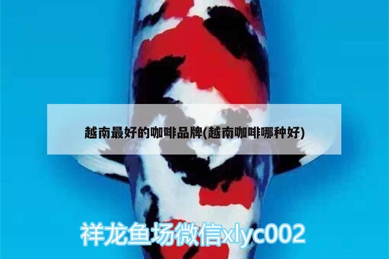 越南最好的咖啡品牌(越南咖啡哪種好) 越南最好的咖啡品牌(越南咖啡哪種好) 馬來(lái)西亞咖啡 第4張