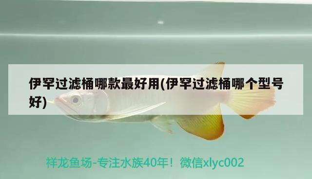 魚缸 伊罕過濾桶哪款最好用(伊罕過濾桶哪個型號好) 伊罕水族 伊罕過濾桶哪款最好用(伊罕過濾桶哪個型號好) 伊罕過濾桶哪款最好用(伊罕過濾桶哪個型號好) 伊罕水族
