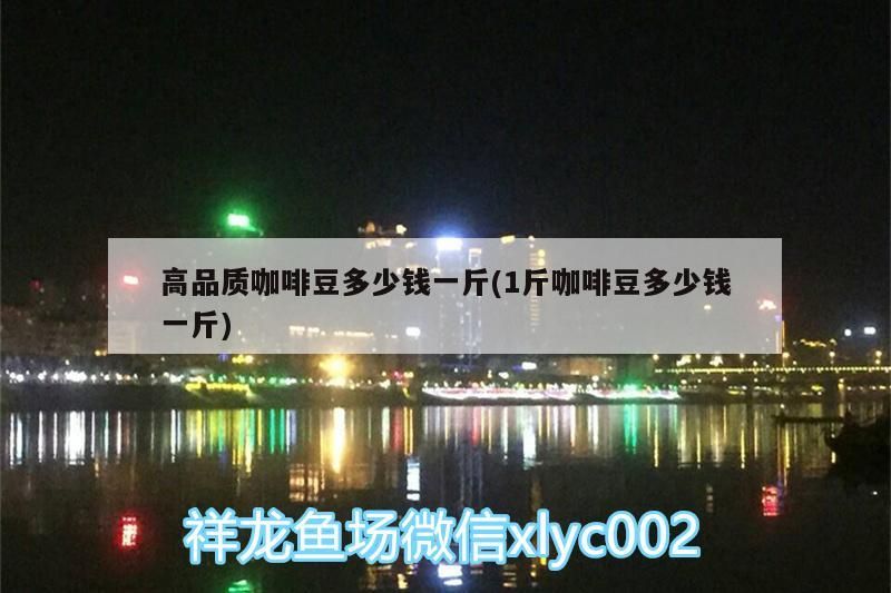 魚缸過濾器選購指南:自制魚缸過濾器魚缸上置過濾器對于養魚愛好者的必備知識 高品質咖啡豆多少錢一斤(1斤咖啡豆多少錢一斤) 馬來西亞咖啡 高品質咖啡豆多少錢一斤(1斤咖啡豆多少錢一斤) 高品質咖啡豆多少錢一斤(1斤咖啡豆多少錢一斤) 馬來西亞咖啡